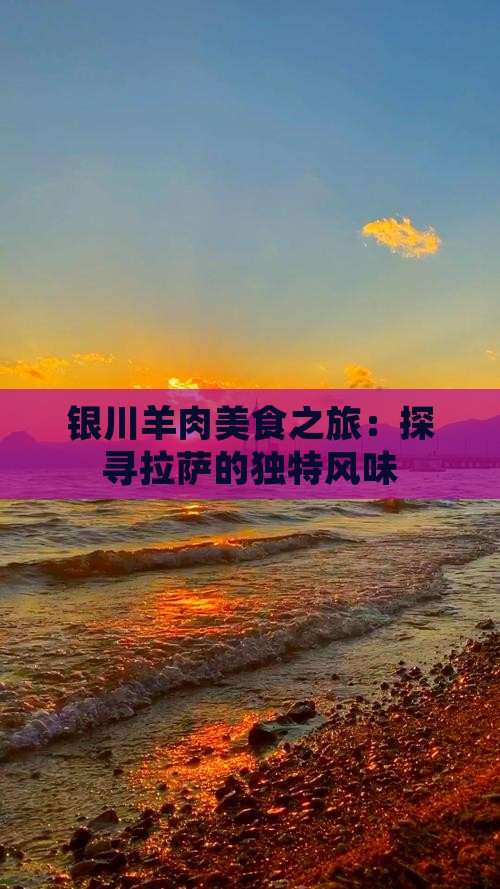 银川羊肉美食之旅：探寻拉萨的独特风味