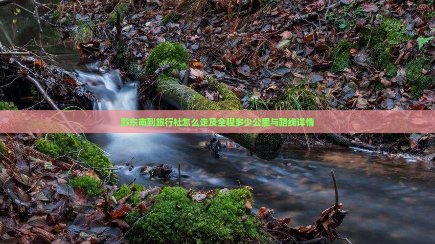 黔东南到旅行社怎么走及全程多少公里与路线详情