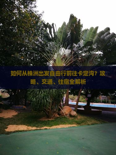 如何从株洲出发自由行前往卡定沟？攻略、交通、住宿全解析
