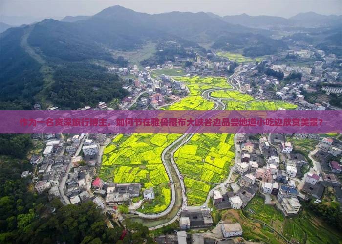作为一名资深旅行博主，如何节在雅鲁藏布大峡谷边品尝地道小吃边欣赏美景？