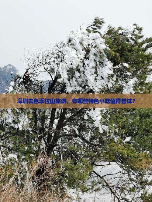深圳去色季拉山旅游，有哪些特色小吃值得尝试？