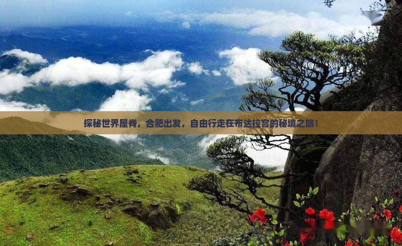 探秘世界屋脊，合肥出发，自由行走在布达拉宫的秘境之旅！