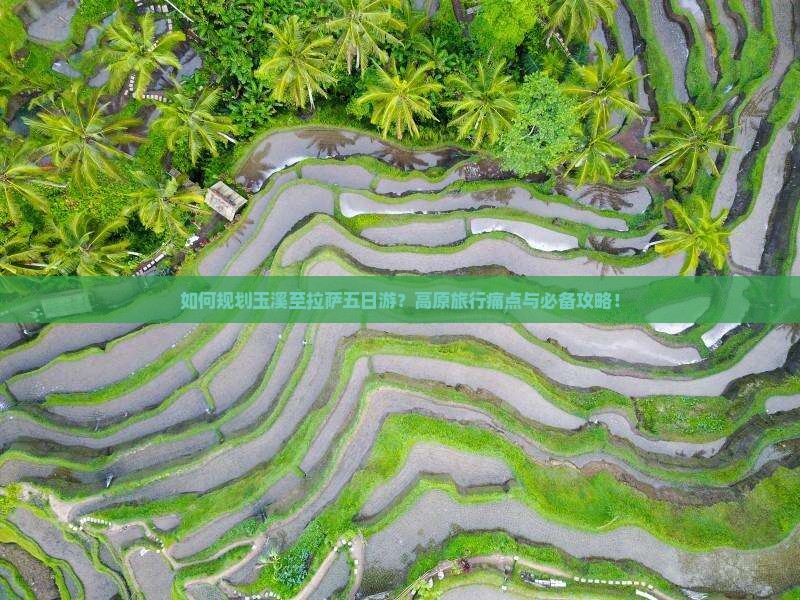 如何规划玉溪至拉萨五日游？高原旅行痛点与必备攻略！