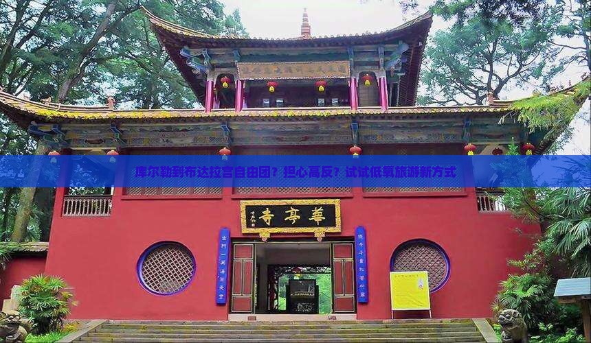 库尔勒到布达拉宫自由团？担心高反？试试低氧旅游新方式