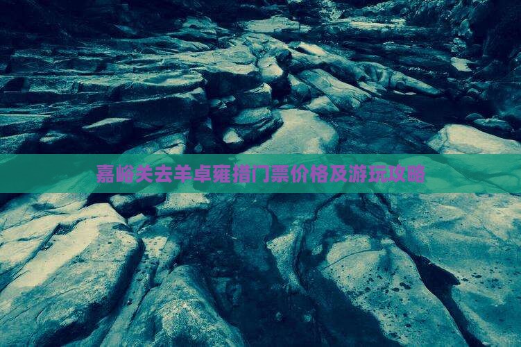 嘉峪关去羊卓雍措门票价格及游玩攻略