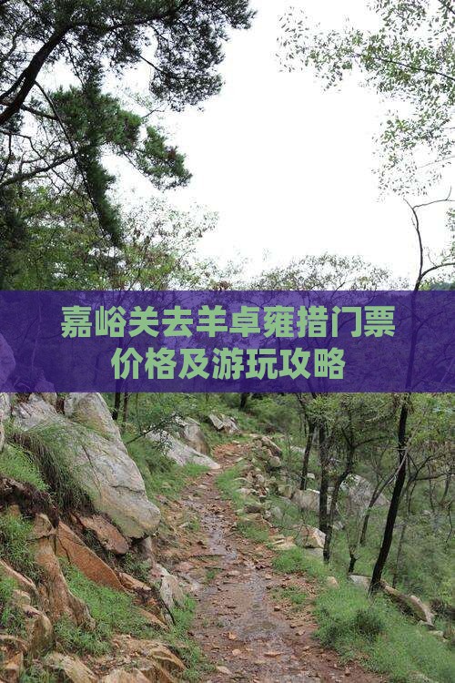 嘉峪关去羊卓雍措门票价格及游玩攻略
