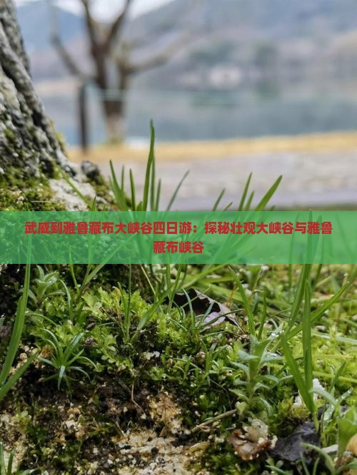 武威到雅鲁藏布大峡谷四日游：探秘壮观大峡谷与雅鲁藏布峡谷
