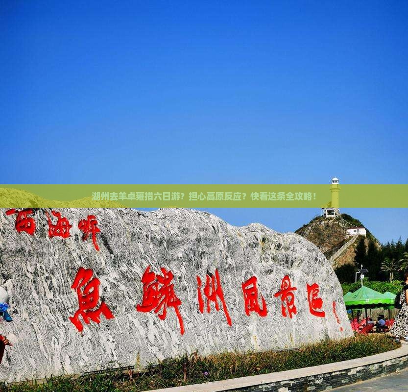 湖州去羊卓雍措六日游？担心高原反应？快看这条全攻略！