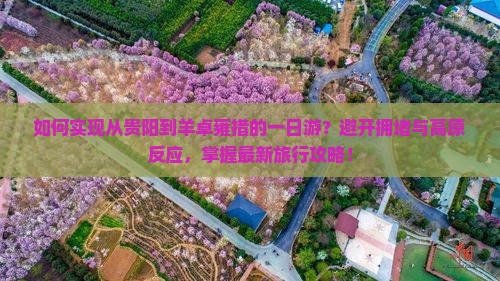 如何实现从贵阳到羊卓雍措的一日游？避开拥堵与高原反应，掌握最新旅行攻略！