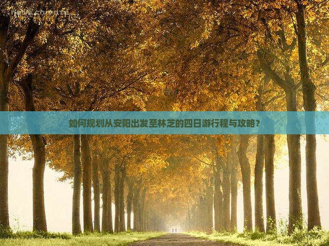 如何规划从安阳出发至林芝的四日游行程与攻略? 如何规划从安阳出发至林芝的四日游行程与攻略?