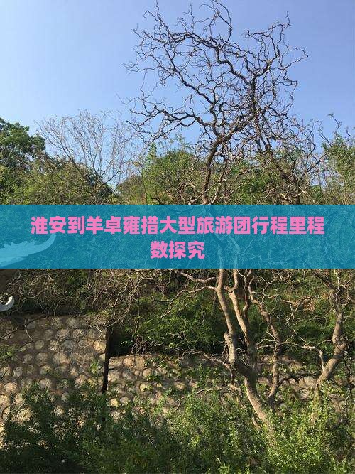 淮安到羊卓雍措大型旅游团行程里程数探究