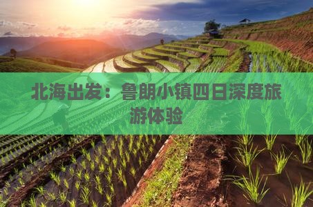 北海出发：鲁朗小镇四日深度旅游体验