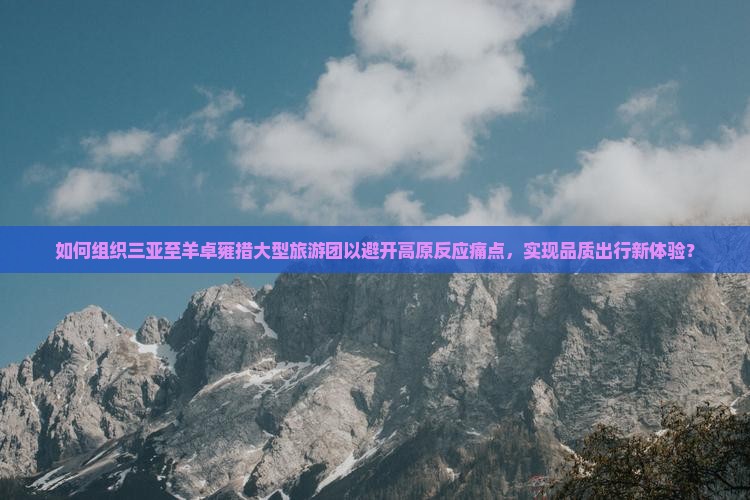 如何组织三亚至羊卓雍措大型旅游团以避开高原反应痛点，实现品质出行新体验？