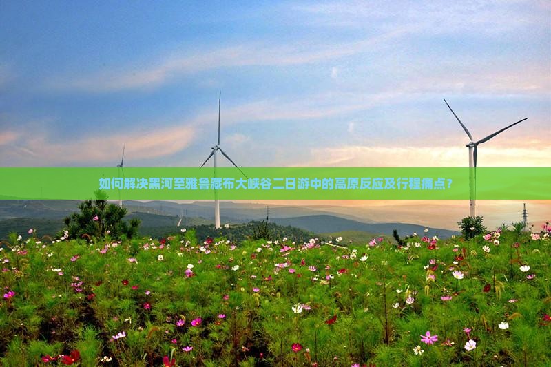 如何解决黑河至雅鲁藏布大峡谷二日游中的高原反应及行程痛点？