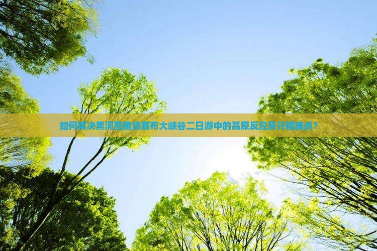 如何解决黑河至雅鲁藏布大峡谷二日游中的高原反应及行程痛点？