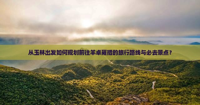 从玉林出发如何规划前往羊卓雍措的旅行路线与必去景点？