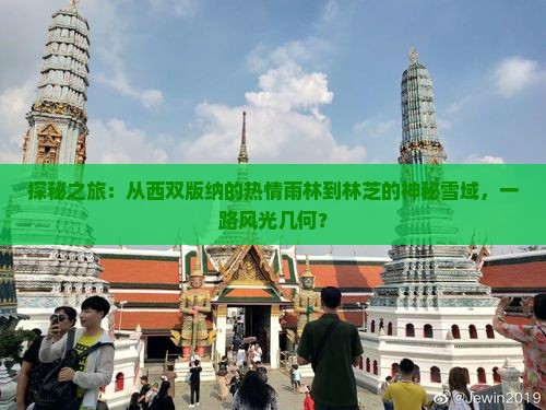 探秘之旅：从西双版纳的热情雨林到林芝的神秘雪域，一路风光几何？
