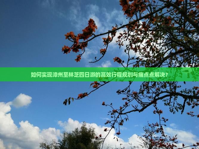 如何实现漳州至林芝四日游的高效行程规划与痛点点解决？
