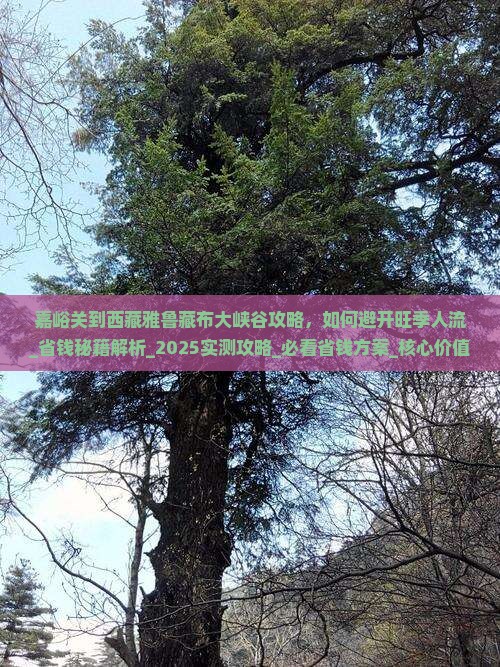 嘉峪关到西藏雅鲁藏布大峡谷攻略