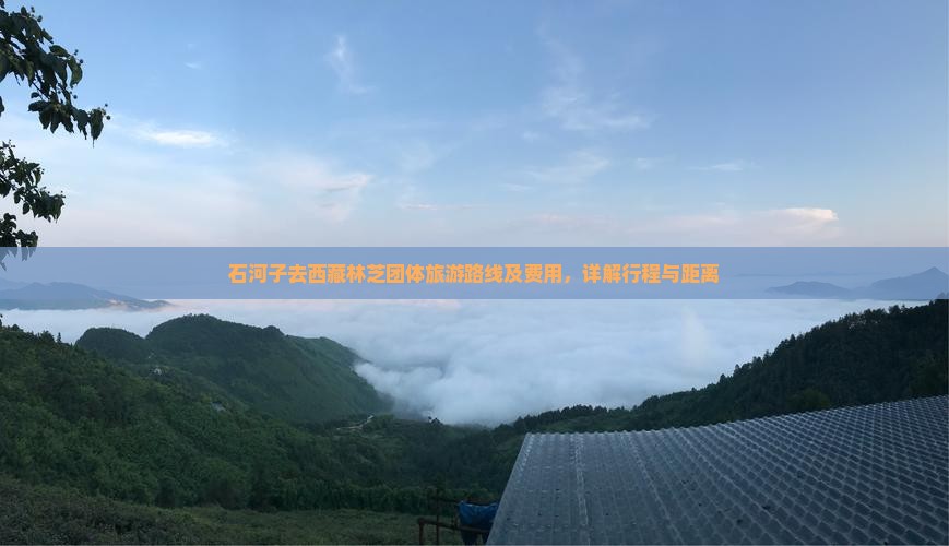 石河子去西藏林芝团体旅游