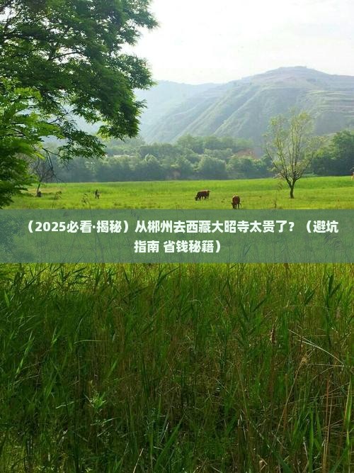 郴州到西藏大昭寺旅行社