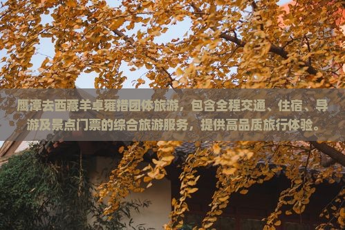 鹰潭去西藏羊卓雍措团体旅游