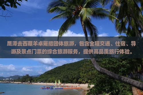 鹰潭去西藏羊卓雍措团体旅游