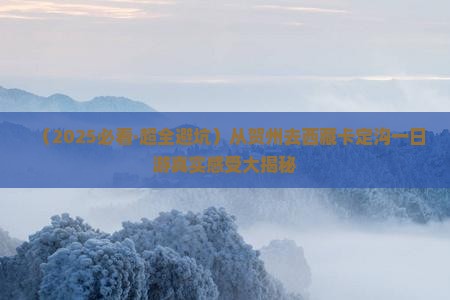贺州去西藏卡定沟一日