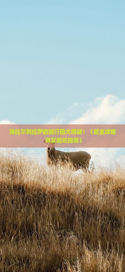 海拉尔去西藏拉萨大型旅游团