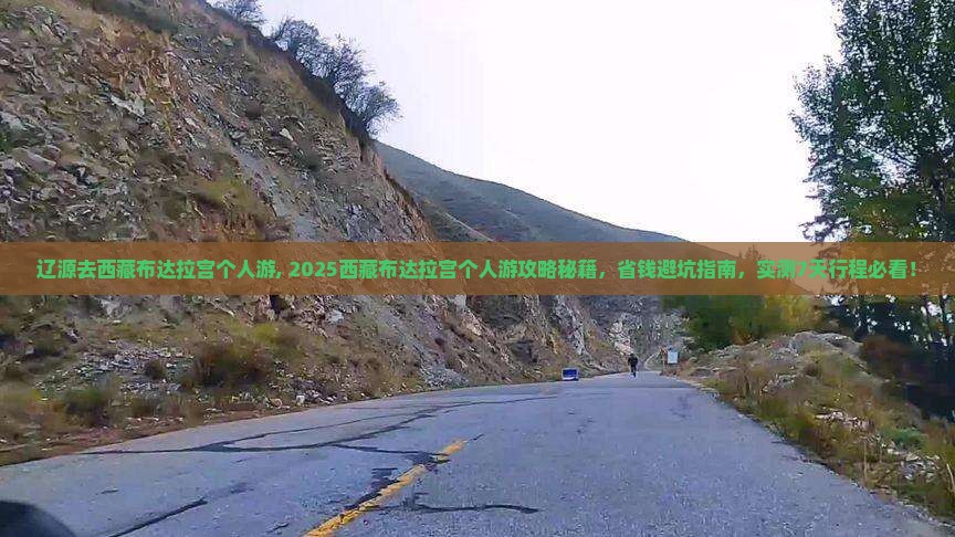 辽源去西藏布达拉宫个人游