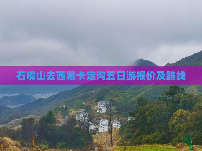 石嘴山去西藏卡定沟五日游 石嘴山去西藏卡定沟五日游
