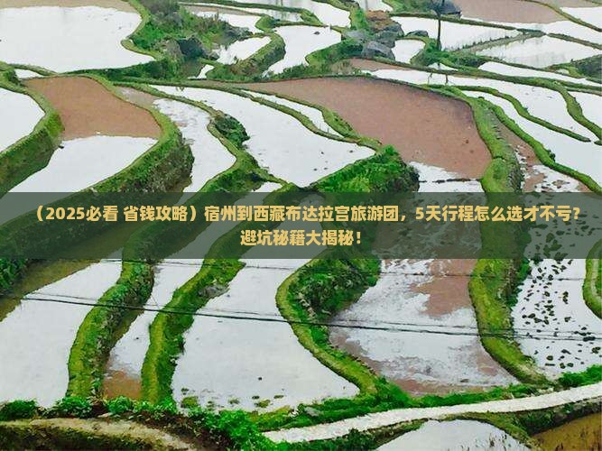 宿州到西藏布达拉宫大型旅游团