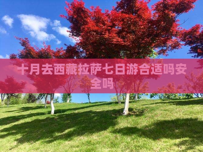 十月去西藏拉萨七日游