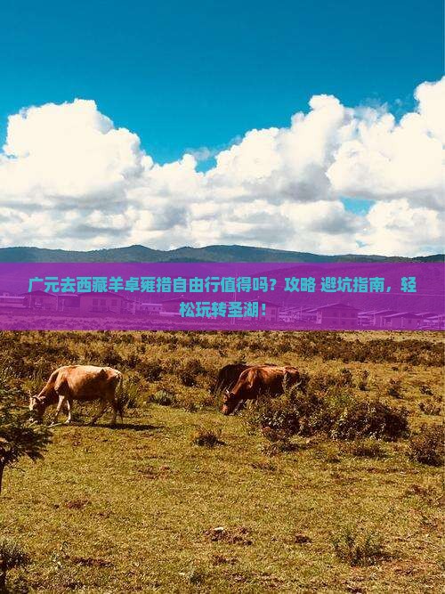 广元去西藏羊卓雍措自由行