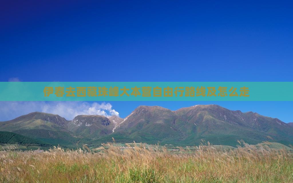伊春去西藏珠峰大本营自由行