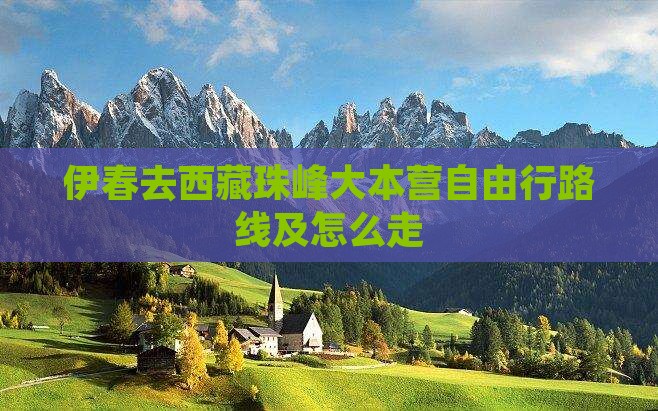 伊春去西藏珠峰大本营自由行
