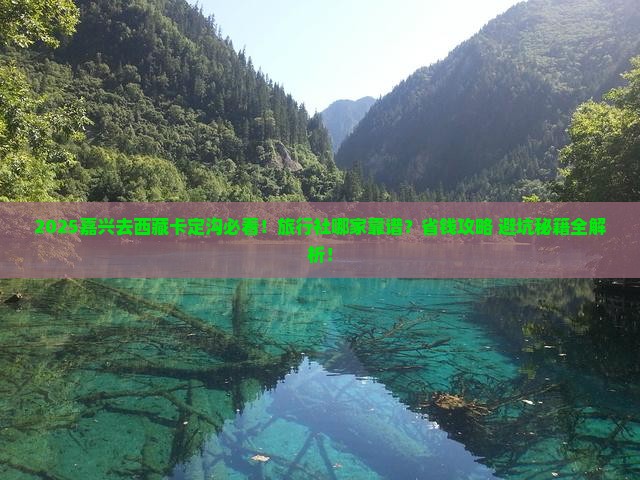 嘉兴去西藏卡定沟旅行社