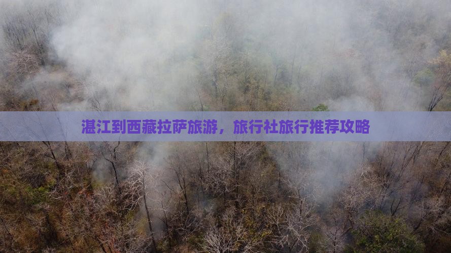 湛江到西藏林芝旅行社