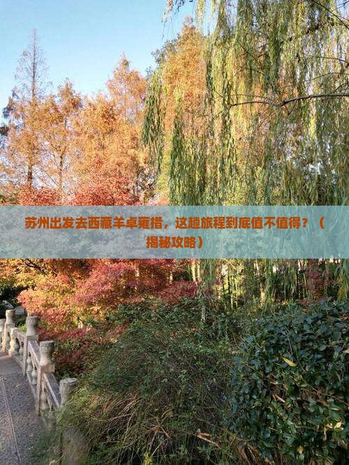 苏州到西藏羊卓雍措哪里玩