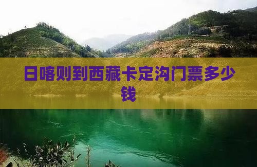 日喀则到西藏卡定沟门票