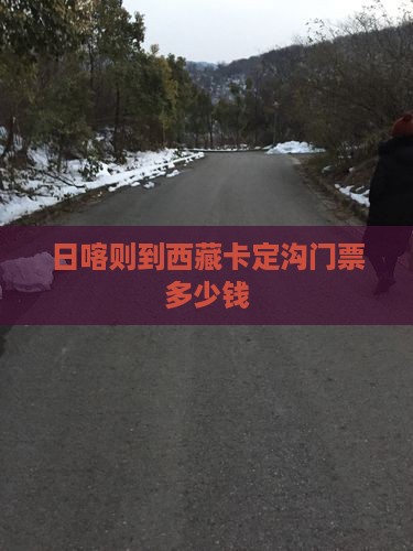 日喀则到西藏卡定沟门票