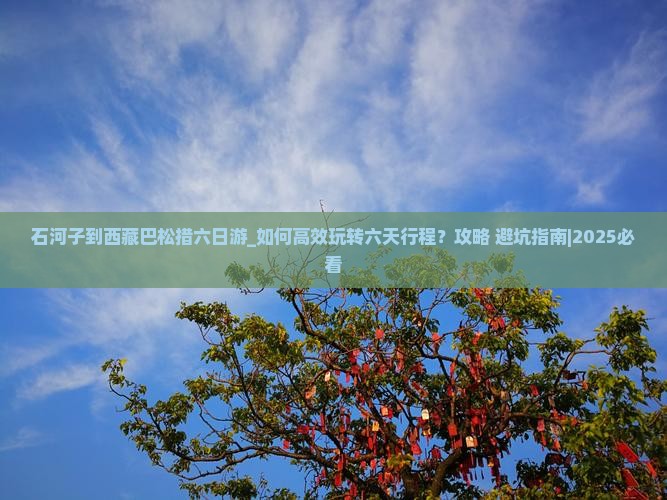 石河子到西藏巴松措六日游