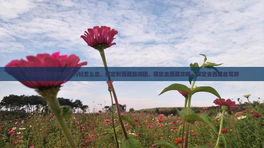 保定去西藏纳木措旅行社