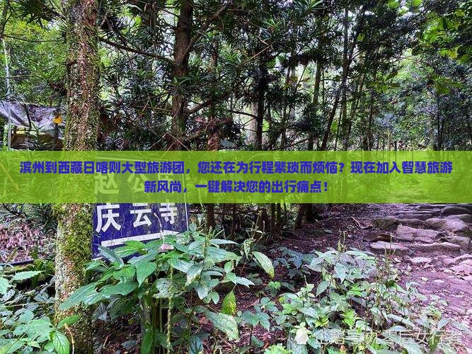 滨州到西藏日喀则大型旅游团