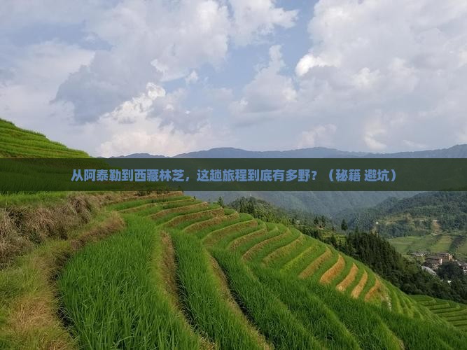 阿泰勒到西藏林芝攻略