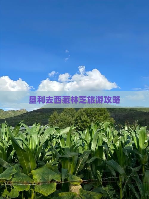 垦利去西藏林芝攻略