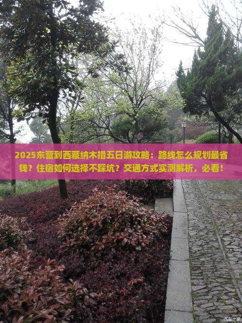 东营到西藏纳木措五日游
