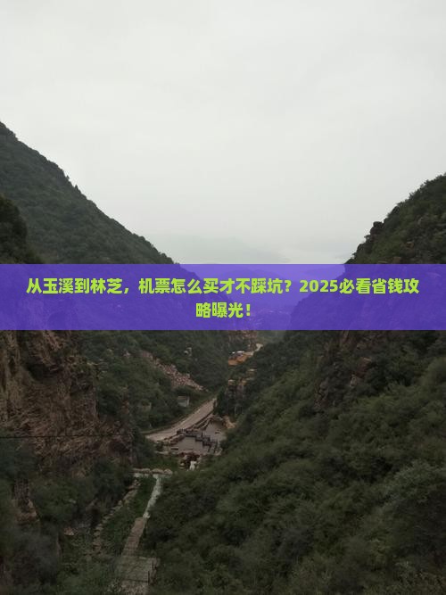 玉溪去西藏林芝门票