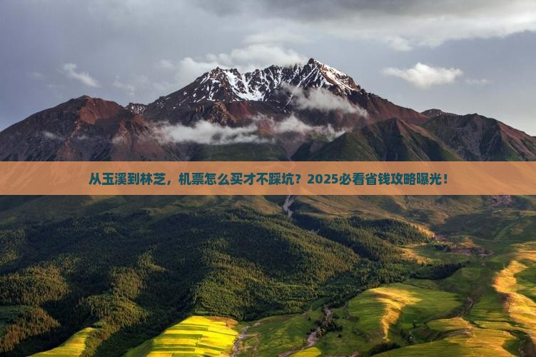 玉溪去西藏林芝门票