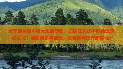 大丰到西藏鲁朗小镇大型旅游团
